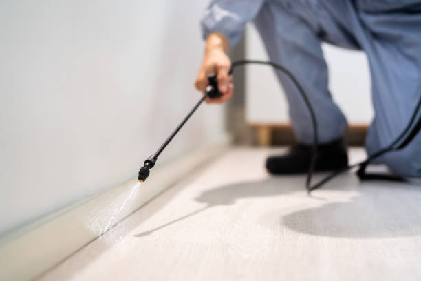 Professional exterminator conducting IPM assessment in Kendale Lakes